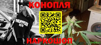 гашик Краснознаменск