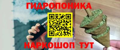 гашик Краснознаменск