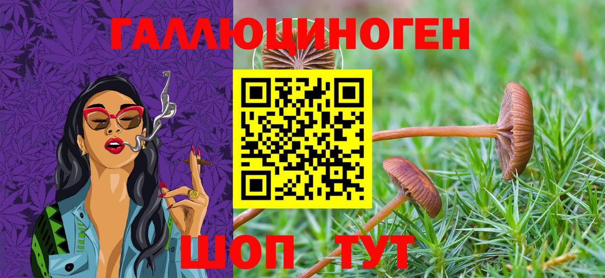 Железноводск  Галлюциногенные грибы Psilocybe  Вход с VPN  Псилоцибиновые грибы Psilocybine cubensis 